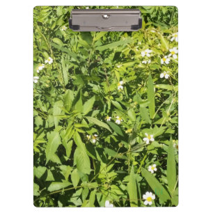 Porte-bloc Champ fleuri vert luxuriant