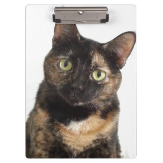 Porte-bloc Chat d'écaille