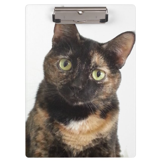Porte-bloc Chat d'écaille (Devant)