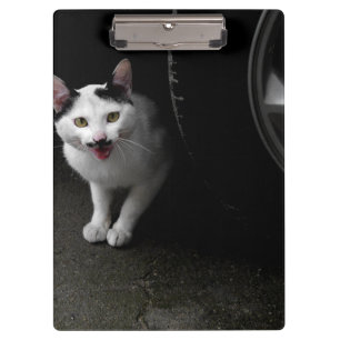 Porte-bloc Chat errant avec moustache
