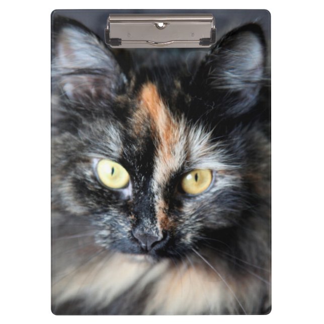 Porte-bloc Chat sibérien (Devant)