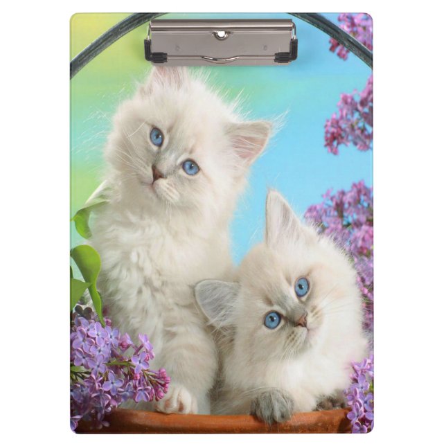 Porte-bloc Chatons/Porte - bloc (Devant)