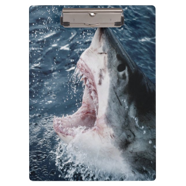 Porte-bloc Chef du grand requin blanc (Devant)