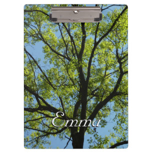 Porte-bloc Chêne de printemps Nature vivante