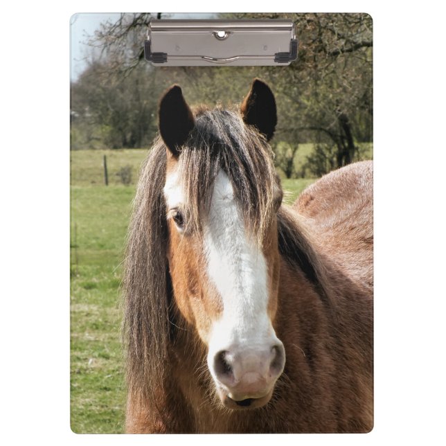 PORTE-BLOC CHEVAL (Devant)