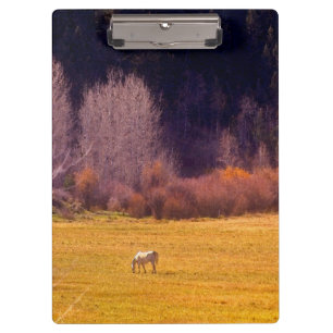 Porte-bloc Cheval dans l'automne I