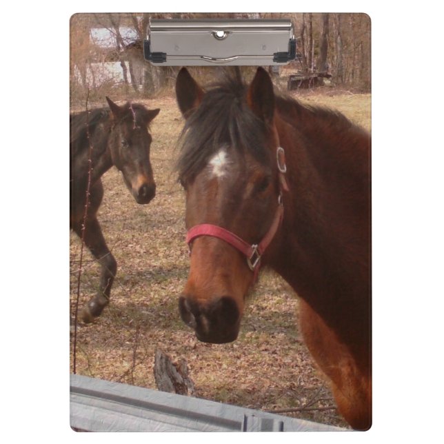 Porte-bloc Chevaux Brown (Devant)
