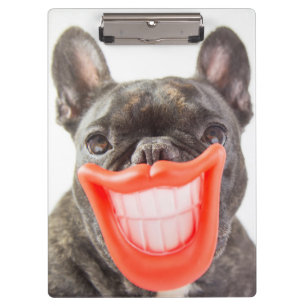 Porte-bloc Chien de sourire des images   A de Getty