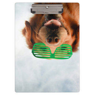 Porte-bloc Chien des images   de Getty avec des verres
