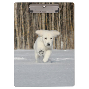 Porte-bloc Chiot Golden Retriever blanc dans la neige
