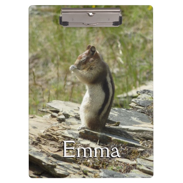 Porte-bloc Chipmunk dans le Parc national des Glaciers II (Devant)