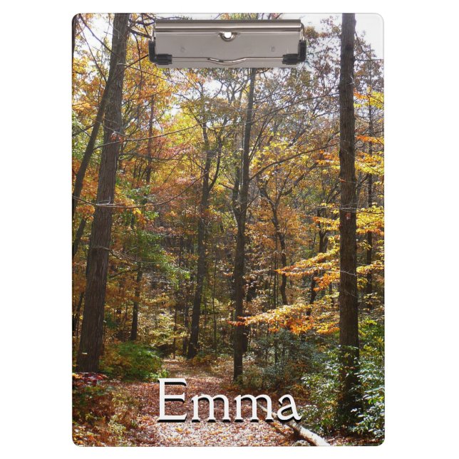 Porte-bloc Chute Sunlit dans le parc national de Laurel Hill (Devant)