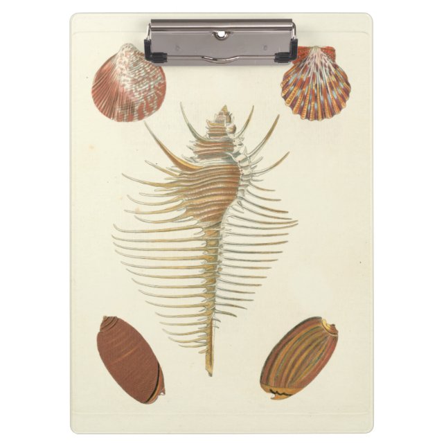 Porte-bloc Cinq d'un coquillage (Devant)