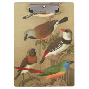 Porte-bloc Cinq oiseaux colorés d'animal familier étés perché