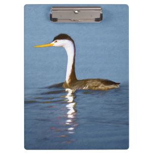Porte-bloc Clark's Grebe Painting - Art original pour les ois