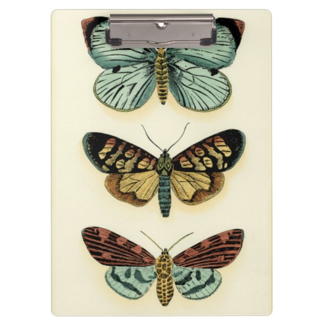 Porte-bloc Collection de papillon par Chariklia Zarris (Devant)