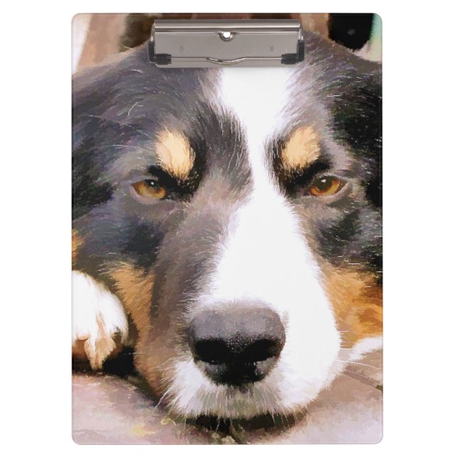 PORTE-BLOC COLLIE FRONTALIÈRE (Devant)