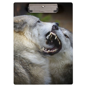 Porte-bloc Combat de loup