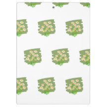 Conception Florale Rustique sur Fond Vert