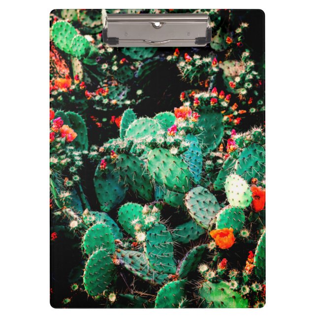 Porte-bloc Cool Porte - bloc Cactus (Devant)