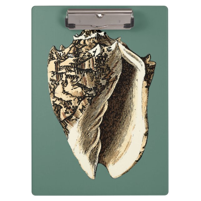 Porte-bloc Coque conique turquoise (Devant)