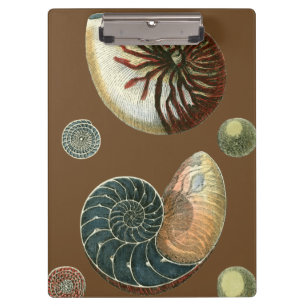 Porte-bloc Coque de cacao