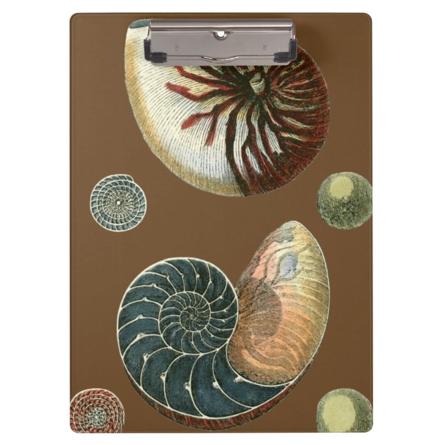 Porte-bloc Coque de cacao (Devant)