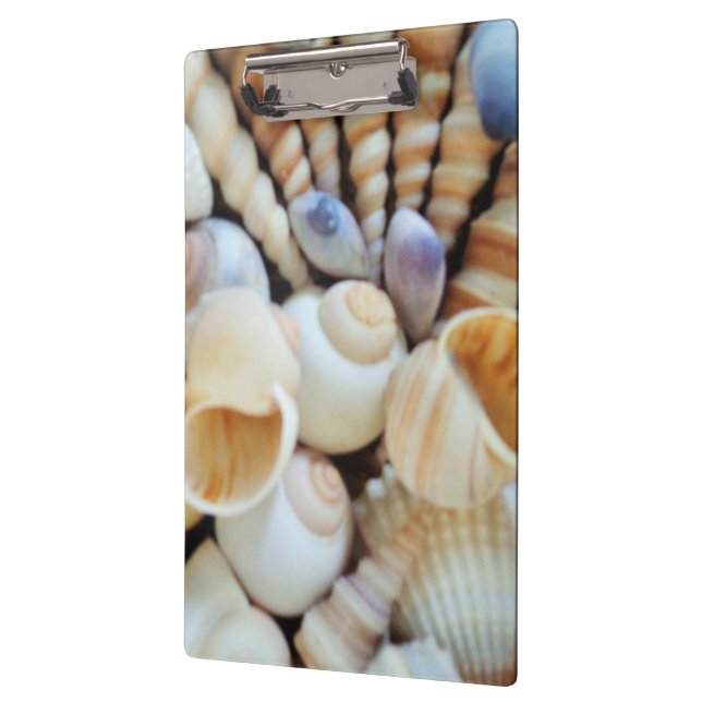Porte-bloc Coquillages ensoleillés, Porte - bloc, Plage d'été (Gauche)