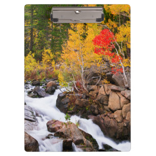 Porte-bloc Couleurs d'automne le long de Bishop Creek, CA