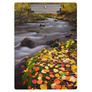 Porte-bloc Couleurs d'automne le long de McGee Creek