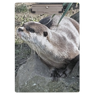 PORTE-BLOC COUPER OTTER