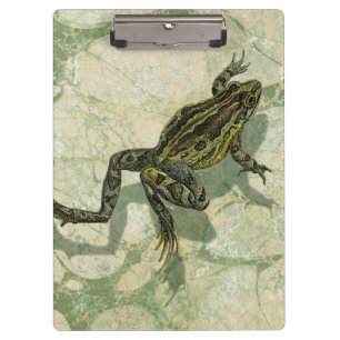 Porte-bloc Crapaud Swinning dans l'eau