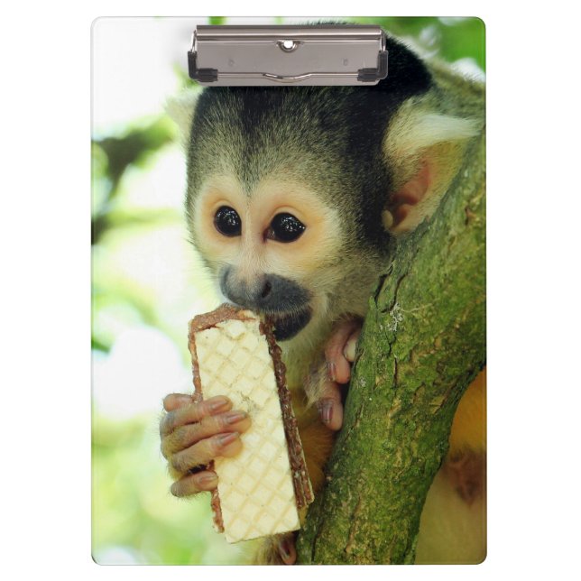 Porte-bloc Cute Baby Squerrl Monkey Eating a Wafer Biscuit (Devant)