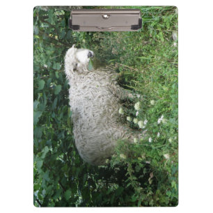 Porte-bloc Cute Blanc Fluffé Manger Porte - bloc