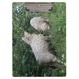 Porte-bloc Cute Mange Feuille Porte - bloc
