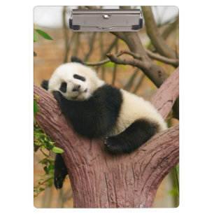 Porte-bloc Cute ours Panda