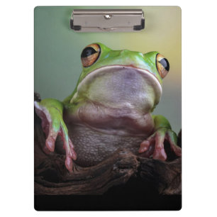 Porte-bloc Cute Porte - bloc de grenouille