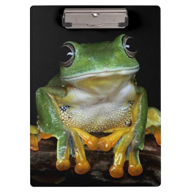 Porte-bloc Cute Porte - bloc de grenouille (Devant)