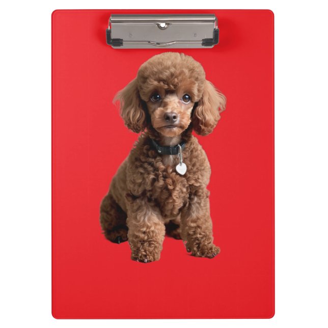 Porte-bloc  Cute Teacup Poodle Red Folder (Devant)