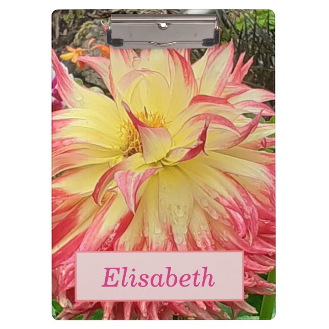 Porte-bloc Dahlia rose et jaune (Devant)