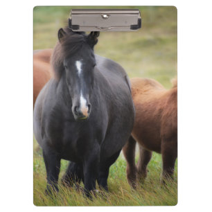 Porte-bloc De beaux chevaux