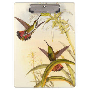 Porte-bloc Deux colibris colorés qui veulent la même fleur