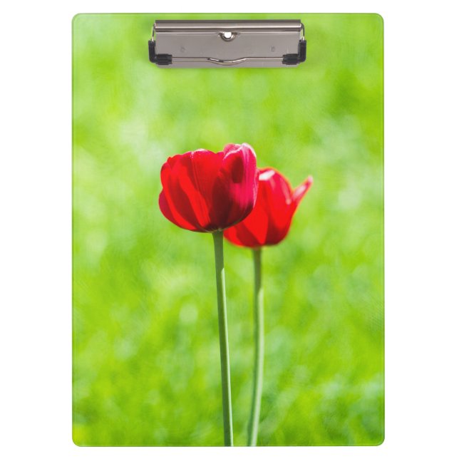 Porte-bloc Deux fleurs de tulipe rouge (Devant)