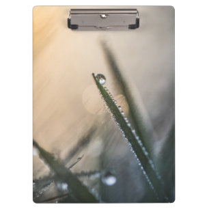 Porte-bloc Dew Droplet sur l'herbe Florale Nature Photo