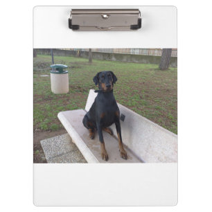 Porte-bloc doberman pincher assis