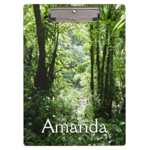 Porte-bloc Dominicain Forêt de pluie II Vert tropical