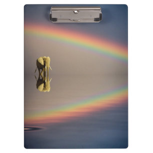 Porte-bloc Éléphant, eau et arc-en-ciel, Kenya