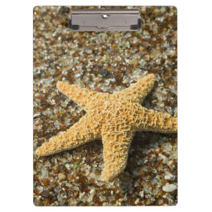 Porte-bloc États-Unis, HI, Kauai, Glass Beach avec étoile de