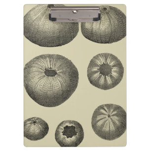 Porte-bloc Étoiles de mer noires et blanches