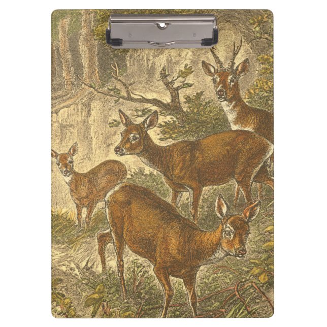 Porte-bloc Famille de Roe - Cerfs dans une forêt (Devant)
